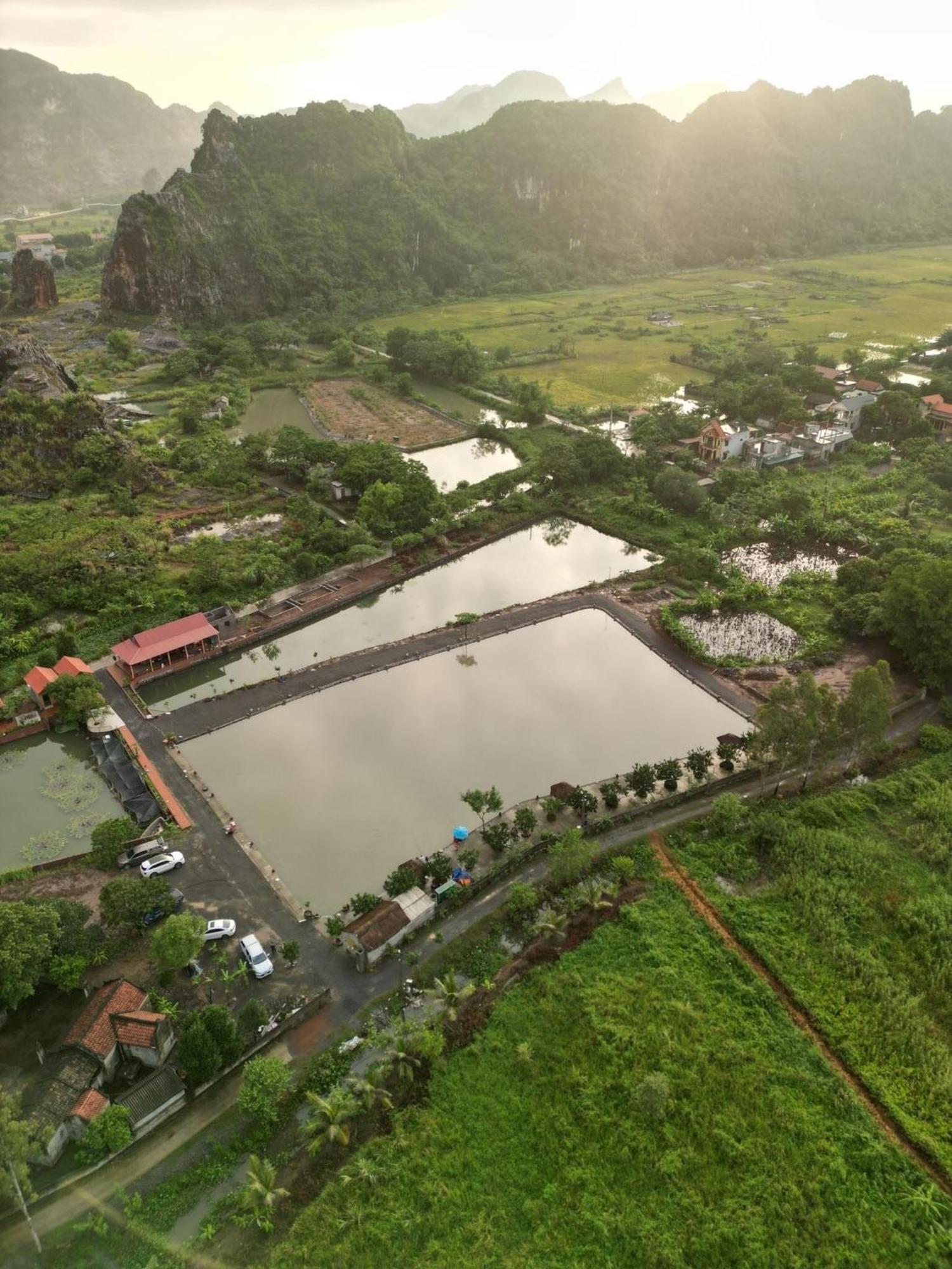 Tam Coc Cat Luong Homestay Ninh Binh Eksteriør billede