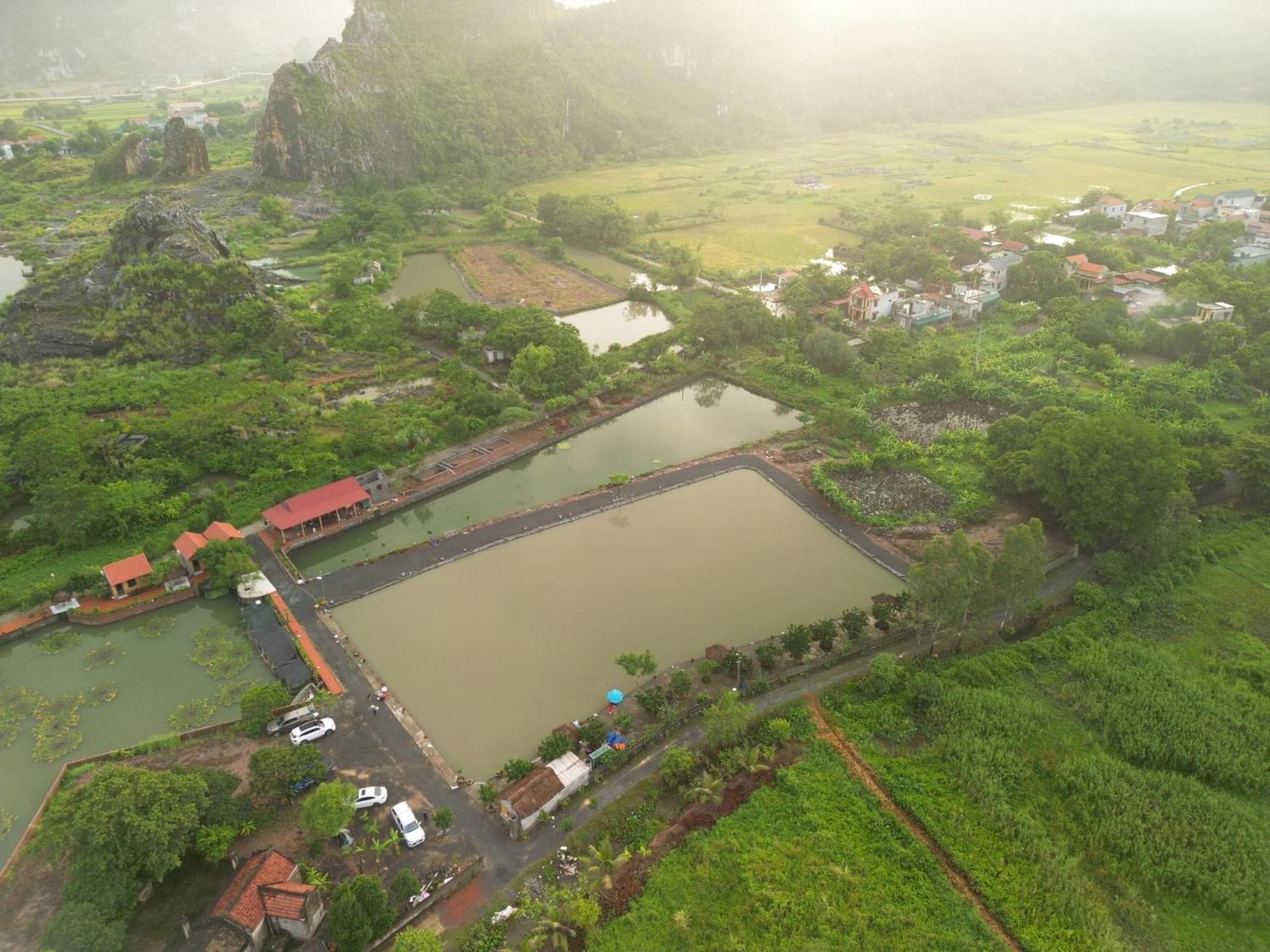 Tam Coc Cat Luong Homestay Ninh Binh Eksteriør billede