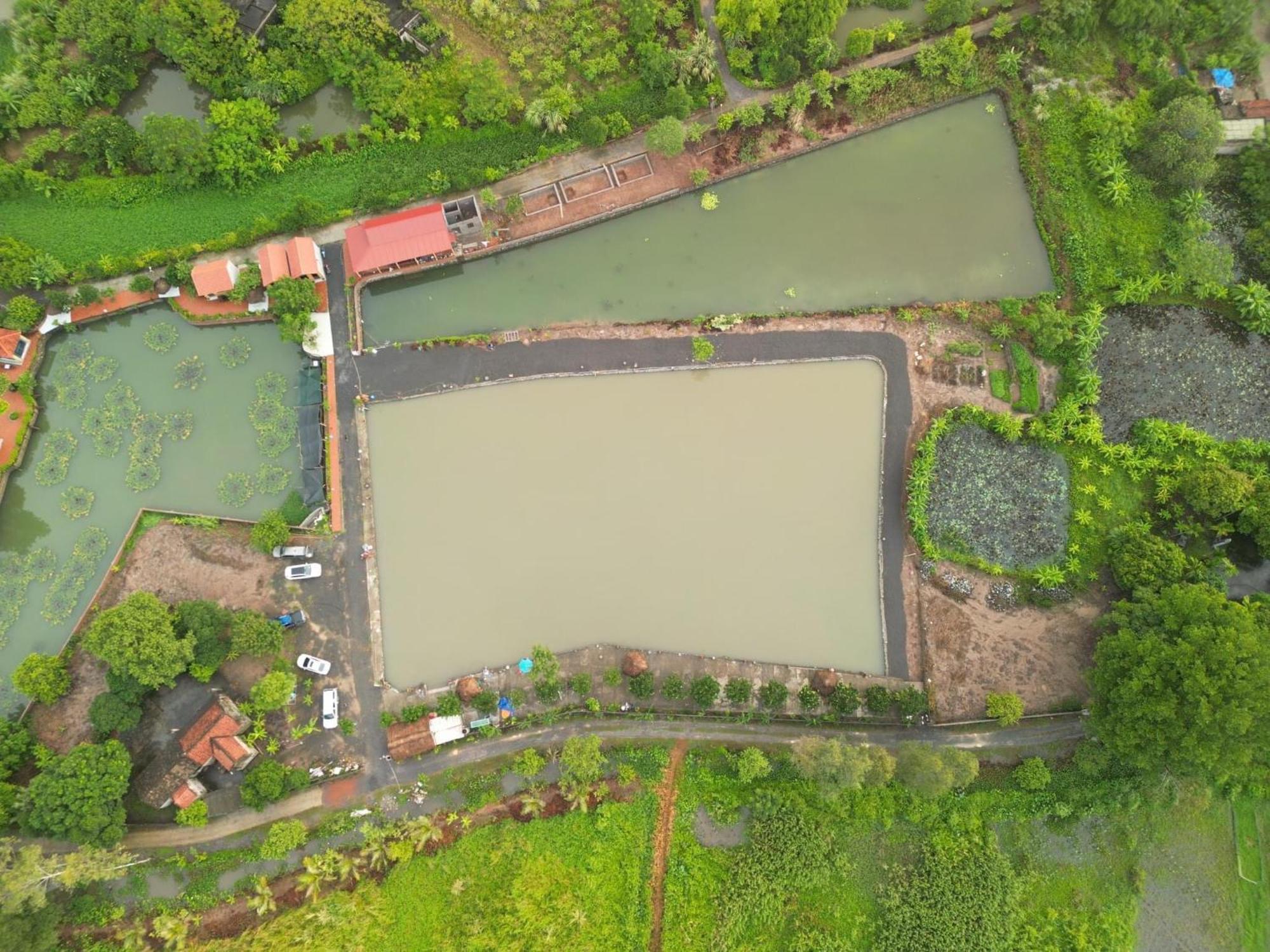 Tam Coc Cat Luong Homestay Ninh Binh Eksteriør billede